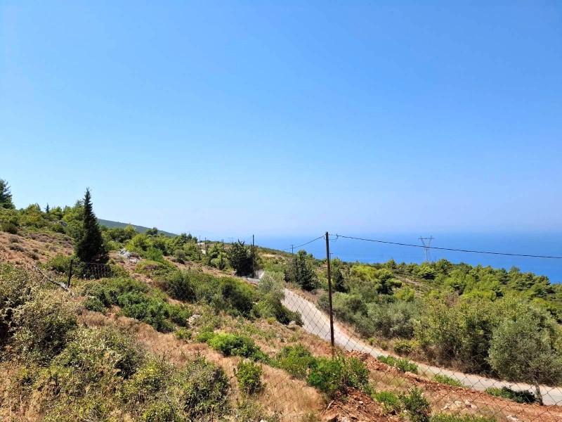 Αγροτεμάχια 6.488 τ.μ. προς πώληση, Απολλώνιο
