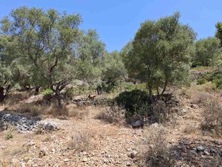 Αγροτεμάχια 6.488 τ.μ. για πώληση, Ν. Λευκάδας, Λευκάδα-thumb-16