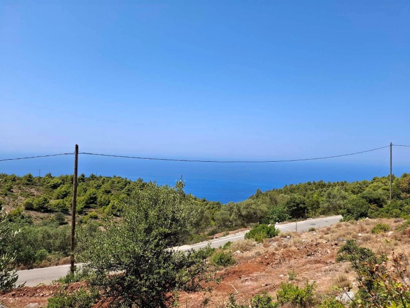 Αγροτεμάχια 6.488 τ.μ. για πώληση, Ν. Λευκάδας, Λευκάδα