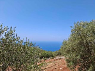 Αγροτεμάχια 6.488 τ.μ. για πώληση, Ν. Λευκάδας, Λευκάδα-thumb-12