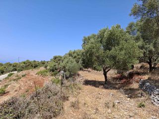 Αγροτεμάχια 6.488 τ.μ. για πώληση, Ν. Λευκάδας, Λευκάδα-thumb-10
