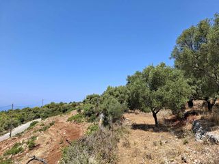 Αγροτεμάχια 6.488 τ.μ. για πώληση, Ν. Λευκάδας, Λευκάδα-thumb-1