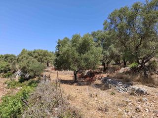 Αγροτεμάχια 6.488 τ.μ. για πώληση, Ν. Λευκάδας, Λευκάδα-thumb-11