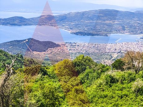 Αγροτεμάχια 4.689 τ.μ. για πώληση