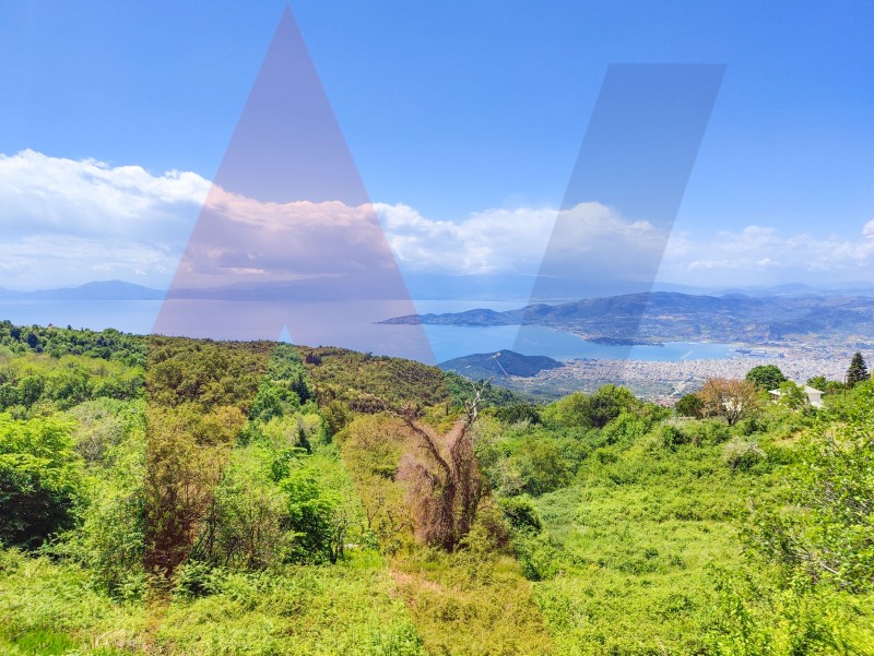 Αγροτεμάχια 4.689 τ.μ. πρός πώληση, Μαγνησία, Πορταριά