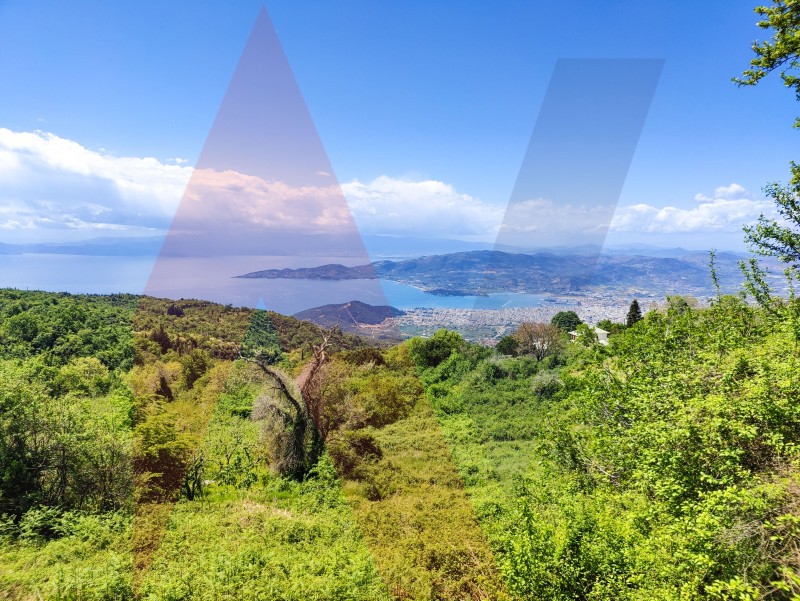 Αγροτεμάχια 4.689 τ.μ. πρός πώληση, Μαγνησία, Πορταριά