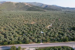 Αγροτεμάχια 462 τ.μ. προς πώληση, Καλύβες Θάσου-thumb-2