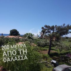 Αγροτεμάχια 170 τ.μ. για ενοικίαση, Εβρος, Αλεξανδρούπολη-thumb-2