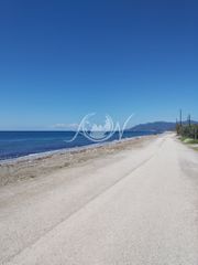 Αγροτεμάχια 170 τ.μ. για ενοικίαση, Εβρος, Αλεξανδρούπολη-thumb-9