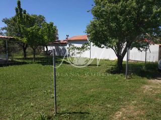 Αγροτεμάχια 170 τ.μ. για ενοικίαση, Εβρος, Αλεξανδρούπολη-thumb-6