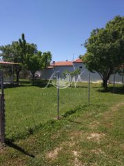 Αγροτεμάχια 170 τ.μ. για ενοικίαση, Εβρος, Αλεξανδρούπολη-thumb-5