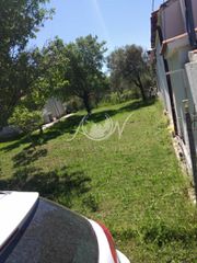 Αγροτεμάχια 170 τ.μ. για ενοικίαση, Εβρος, Αλεξανδρούπολη-thumb-8