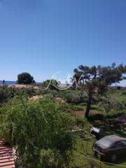Αγροτεμάχια 170 τ.μ. για ενοικίαση, Εβρος, Αλεξανδρούπολη-thumb-3