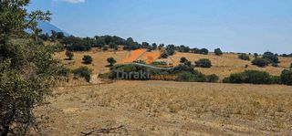 Αγροτεμάχια 10.000 τ.μ. για πώληση, Εβρος, Σαμοθράκη-thumb-4