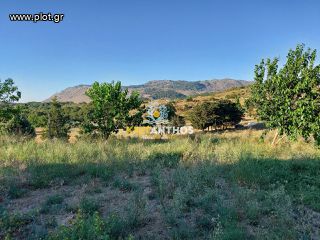 Μονοκατοικία 120 τ.μ. προς πώληση, Αρμενοί Ρεθύμνου-thumb-42