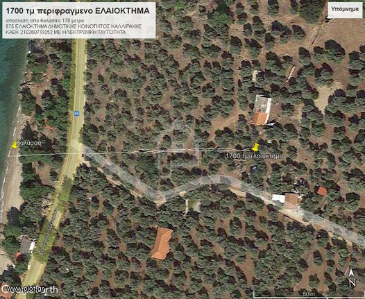 Αγροτεμάχια 1.700 τ.μ. για πώληση, Ν. Καβάλας, Θάσος