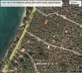Αγροτεμάχια 1.700 τ.μ. για πώληση, Ν. Καβάλας, Θάσος-thumb-3