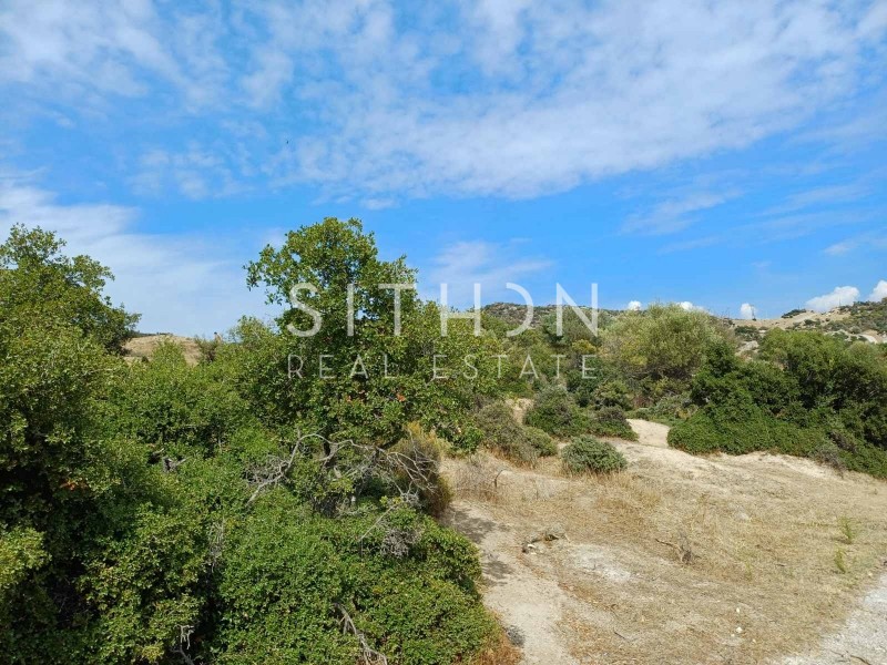 Οικόπεδο 500 τ.μ. προς πώληση, Σκάλα Συκέας
