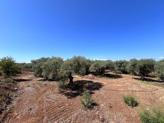 Οικόπεδο 550 τ.μ. για πώληση, Ν. Καβάλας, Θάσος-thumb-2