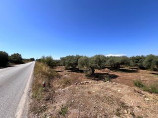Οικόπεδο 550 τ.μ. για πώληση, Ν. Καβάλας, Θάσος-thumb-1