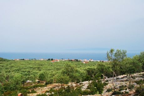 Αγροτεμάχια 4.493 τ.μ. για πώληση