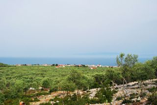 Αγροτεμάχια 4.493 τ.μ. για πώληση