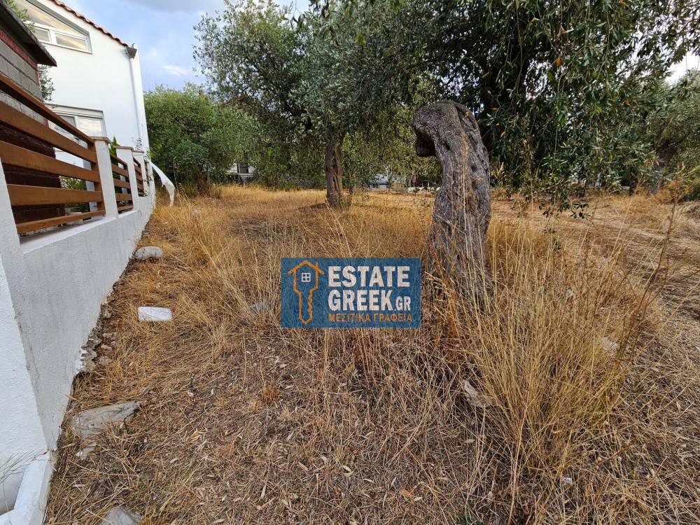 Οικόπεδο 253 τ.μ. πρός πώληση, Ν. Καβάλας, Θάσος