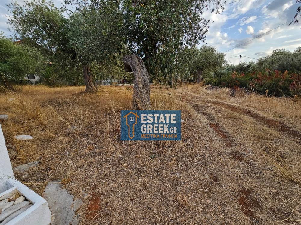 Οικόπεδο 253 τ.μ. πρός πώληση, Ν. Καβάλας, Θάσος