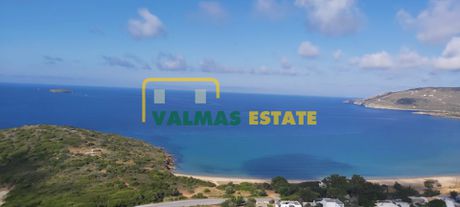 Αγροτεμάχια 4.067τ.μ. για πώληση-Άνδρος