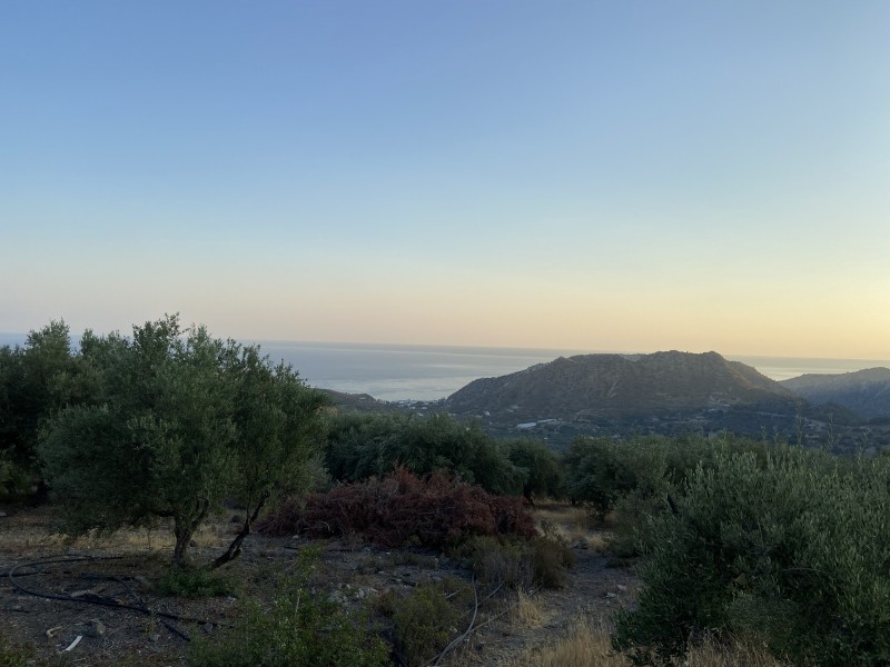 Αγροτεμάχια 238 τ.μ. προς πώληση, Τέρτσα