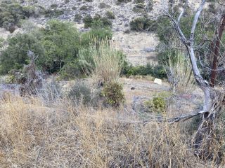 Αγροτεμάχια 238 τ.μ. για πώληση, Ν. Ηρακλείου, Βιαννός-thumb-16