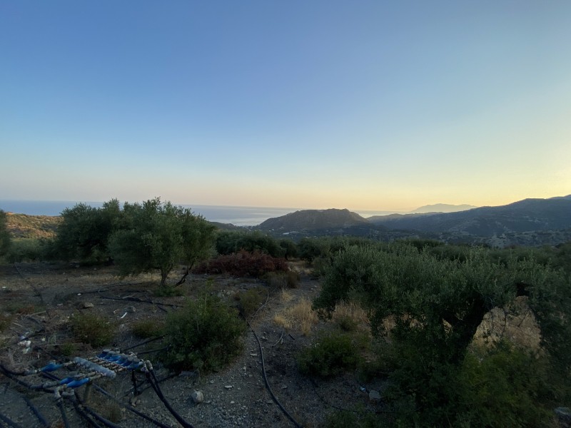 Αγροτεμάχια 238 τ.μ. προς πώληση, Τέρτσα