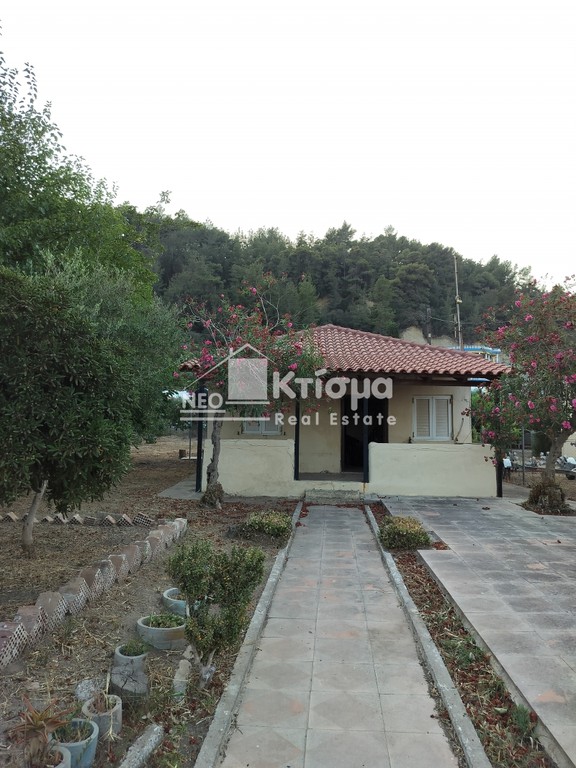 Μονοκατοικία 51 τ.μ. προς πώληση, Ν. Ηλείας, Πύργος