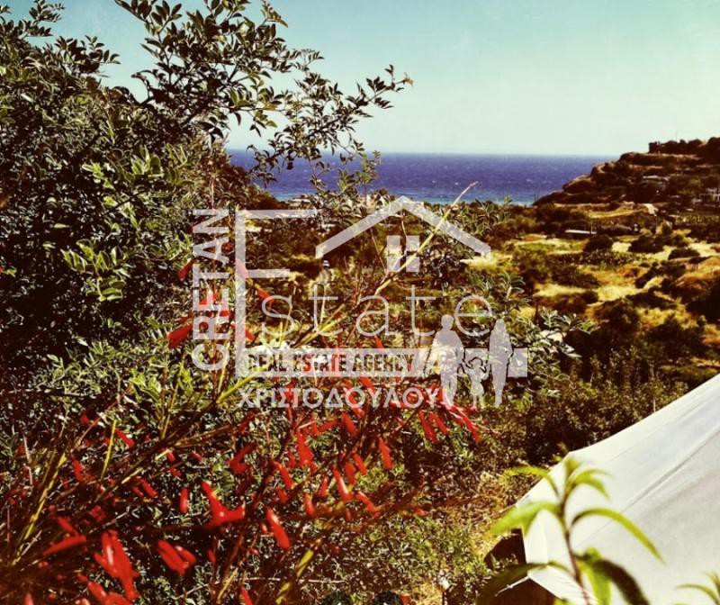 Αγροτεμάχια 247 τ.μ. πρός πώληση, Ν. Ηρακλείου, Βιαννός