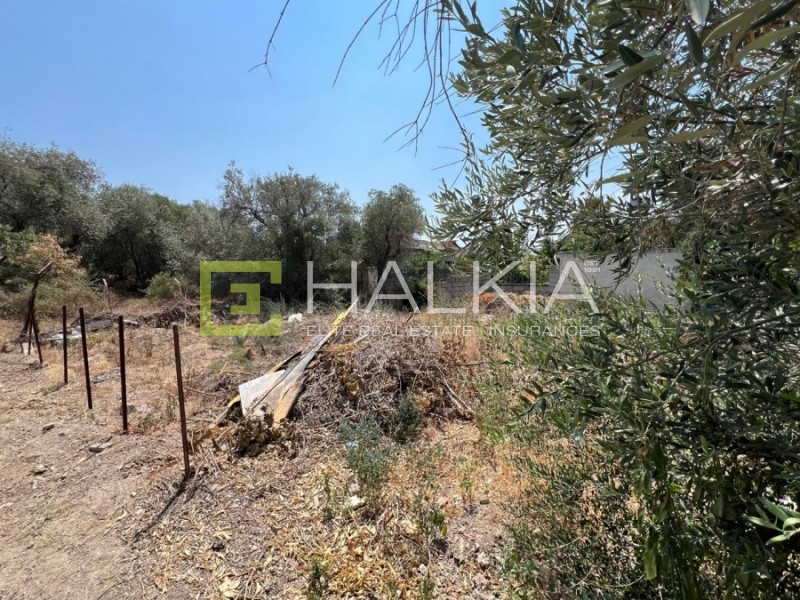 Αγροτεμάχια 218 τ.μ. πρός πώληση, Μαγνησία, Νέα Αγχίαλος
