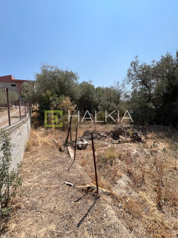 Αγροτεμάχια 218 τ.μ. πρός πώληση, Μαγνησία, Νέα Αγχίαλος
