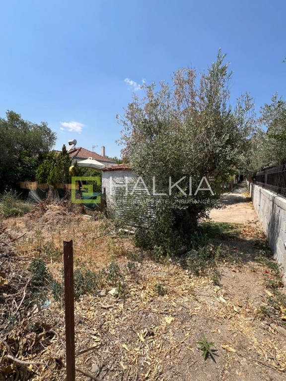 Αγροτεμάχια 218 τ.μ. πρός πώληση, Μαγνησία, Νέα Αγχίαλος
