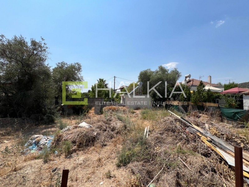 Αγροτεμάχια 218 τ.μ. πρός πώληση, Μαγνησία, Νέα Αγχίαλος