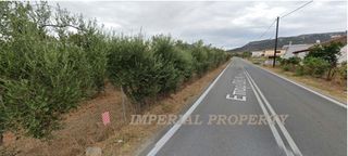 Οικόπεδο 13.550 τ.μ. προς ενοικίαση, Παπαδιάνικα Ασωπού-thumb-2