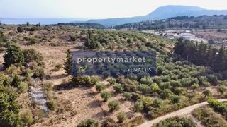 Οικόπεδο 10.543 τ.μ. για πώληση