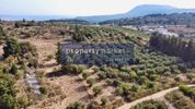 Land plot 10.543sqm for sale-Vamos » Center