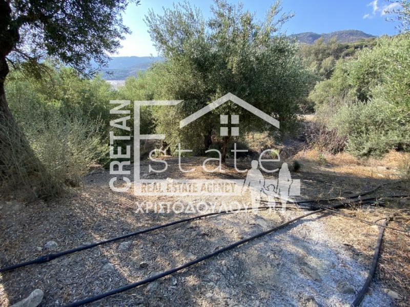 Μονοκατοικία 120 τ.μ. πρός πώληση, Ν. Ηρακλείου, Βιαννός