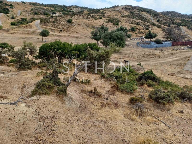 Οικόπεδο 500 τ.μ. προς πώληση, Σκάλα Συκέας