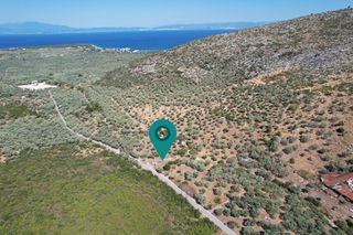 Αγροτεμάχια 1.095 τ.μ. για πώληση