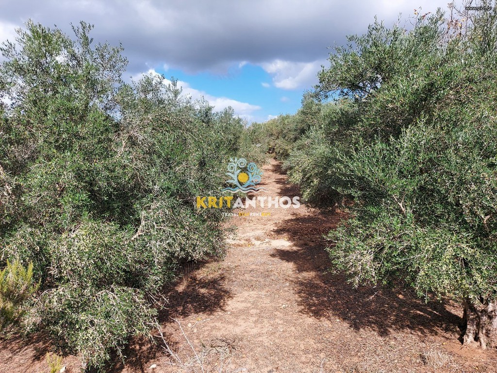 Αγροτεμάχια 9.000 τ.μ. πρός πώληση, Ν. Ρεθύμνου, Αρκάδι