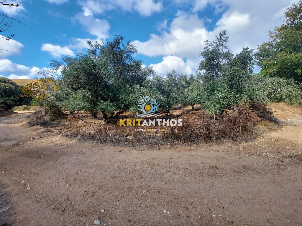 Αγροτεμάχια 9.000 τ.μ. πρός πώληση, Ν. Ρεθύμνου, Αρκάδι