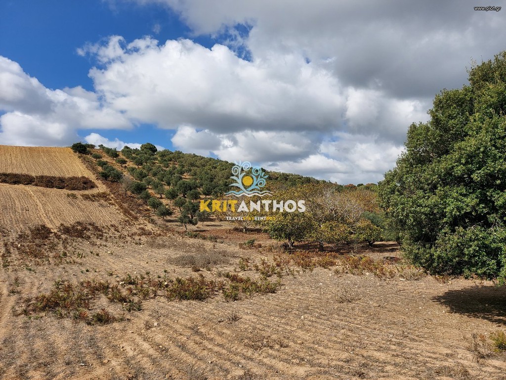 Αγροτεμάχια 9.000 τ.μ. πρός πώληση, Ν. Ρεθύμνου, Αρκάδι