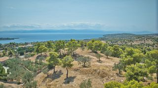 Αγροτεμάχια 20.000 τ.μ. για πώληση, Αργολίδα, Κρανίδι-thumb-6