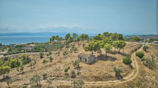 Αγροτεμάχια 20.000 τ.μ. για πώληση, Αργολίδα, Κρανίδι-thumb-4