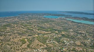 Αγροτεμάχια 20.000 τ.μ. για πώληση, Αργολίδα, Κρανίδι-thumb-13